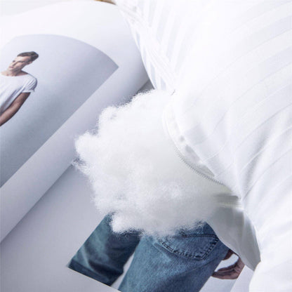 REGINA High-Elastic Home Cushion Inner Filling Cotton Pillow Core for Sofa Car Soft Fluffy Pillow Cushion Insert Cushion Cores - Fluffyslip